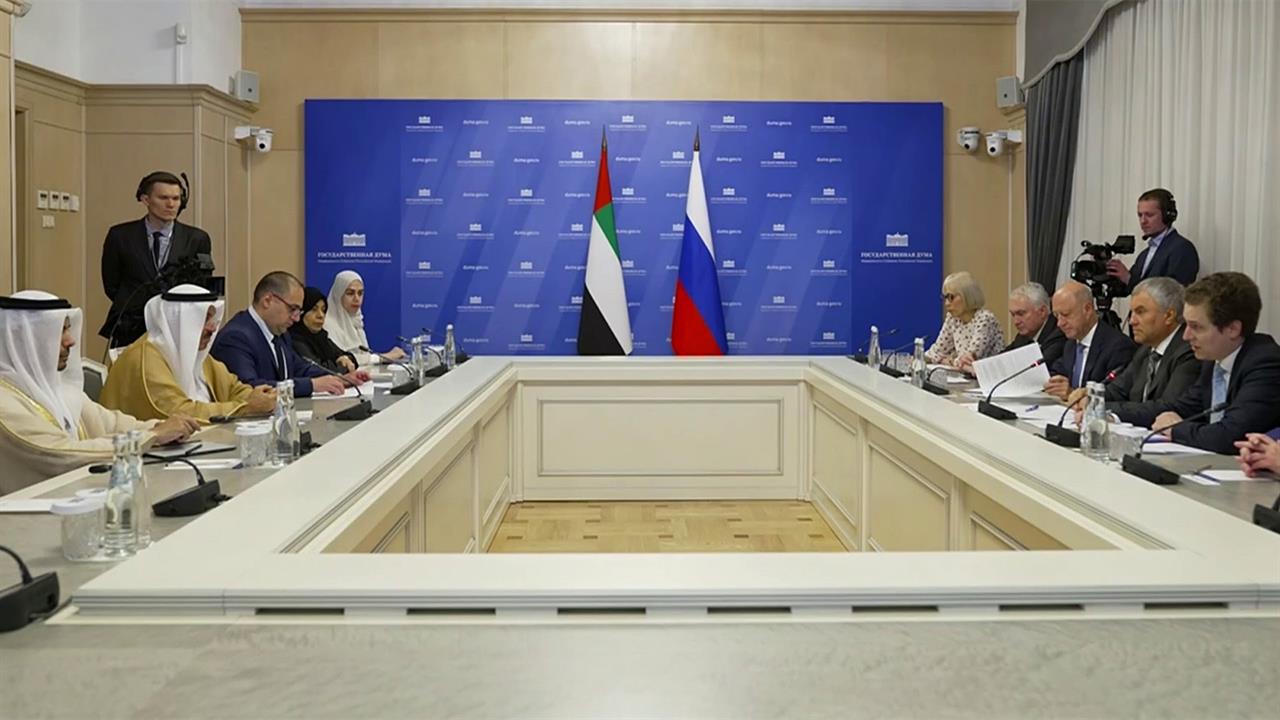 Вячеслав Володин провел переговоры с председателем Федерального национального совета ОАЭ