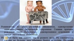 Лекция. Медицинская генетика