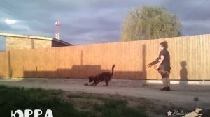 Баларис тренирующийся 2022 апрель