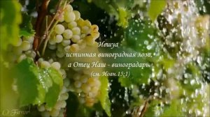 Практика пророческой пропитки. #пророческаяПропитка #христианскаяМузыка #музыка_для_молитвы