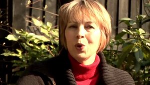 How To Grow Salvia Caradonna