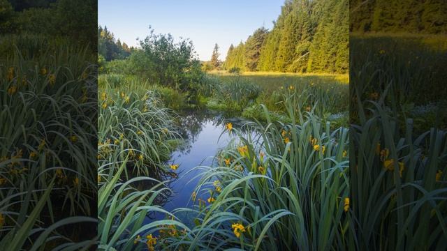 Спокойная музыка для релаксации со звуками журчания... смотреть онлайн
