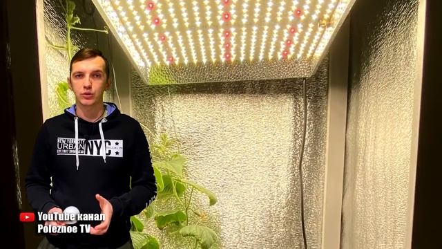 ПОДСВЕТКА РАССАДЫ! ИСПЫТАЛ НА РАССАДЕ ВСЕ ТИПЫ ЛАМП И ОБАЛДЕЛ ОТ РЕЗУЛЬТАТОВ! ЧЕМ ЛУЧШЕ ПОДСВЕЧИВАТ