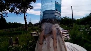Простейшая ловушка для оводов.