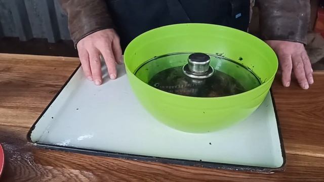 ГОРБУША.ШАШЛЫК ИЗ ГОРБУШИ НА  МАНГАЛЕ. ГОРБУША В МАРИНАДЕ НА ГРИЛЕ. #07