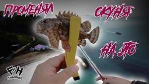Колючки Черного моря. Как не оставить все в камнях.
