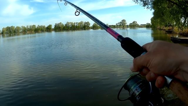 Кабаны рвали леску! Ловля карпа и амура на Вовковом озере. Ч. 3 смотреть онлайн