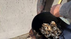 Свиные ребрышки с грибами и овощами на садже