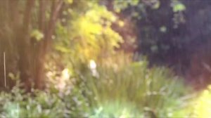 Очень грустная красивая музыка дождя.