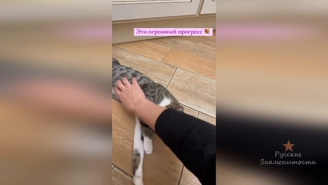 У кошки Ольги Орловой с собакой Бруно прогресс в отношениях!