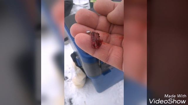 Рыбалка на р Маныч по методу Юрия Философа