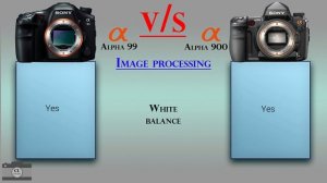 Sony Alpha 99 vs Sony Alpha 900