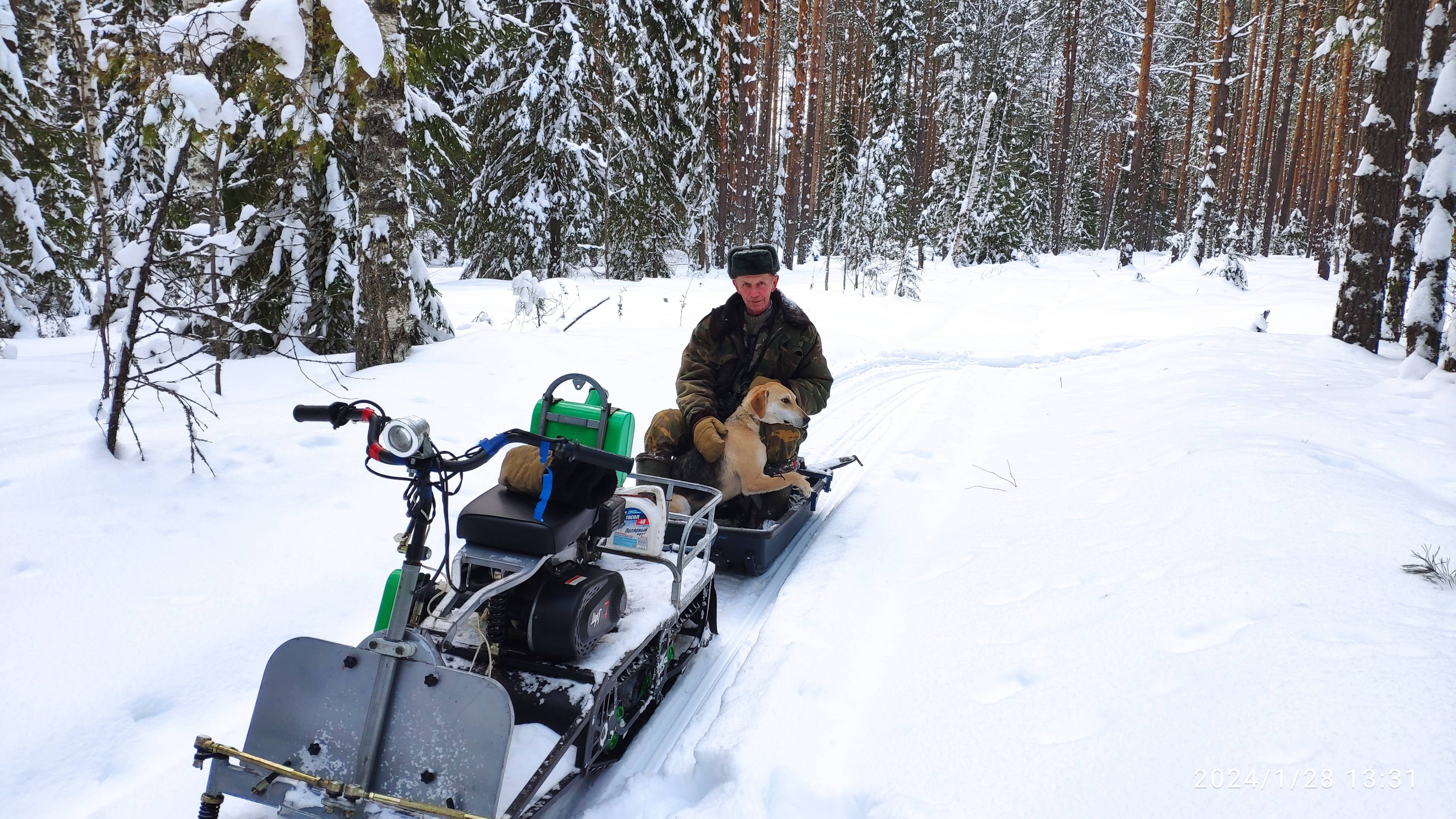 Русская гончая Побудка (Стрелка) (1 год 10 месяцев). Охота на зайца беляка по глубокому снегу