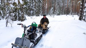 Русская гончая Побудка (Стрелка) (1 год 10 месяцев). Охота на зайца беляка по глубокому снегу