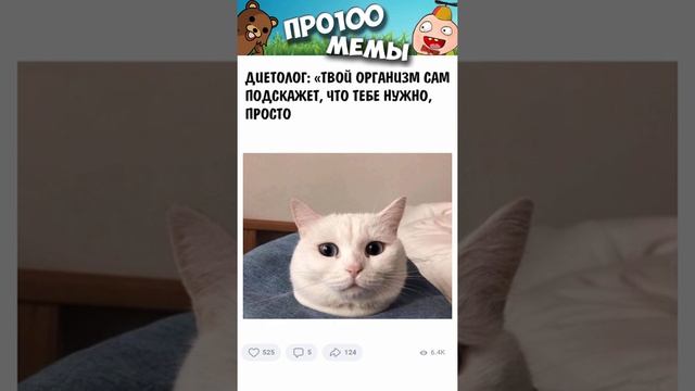 Смешные видосики про котиков