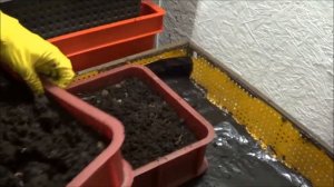 АТ202 Первый Биогумус из Вермикомпостера 35 суток