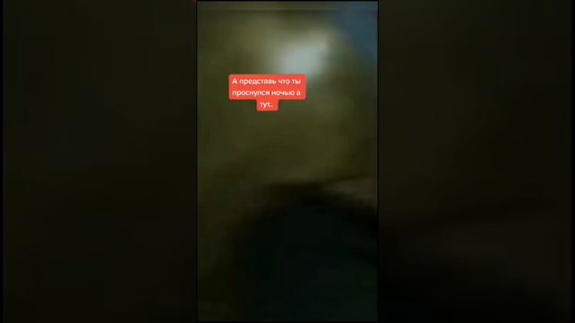 Страшное_рядом___страшноерядом_trustdumbl__shorts_#страшилки #хоррор