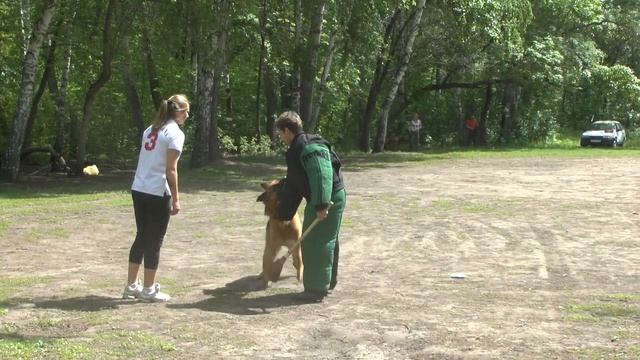 Роверлайн Форд- дрессировка смотреть онлайн