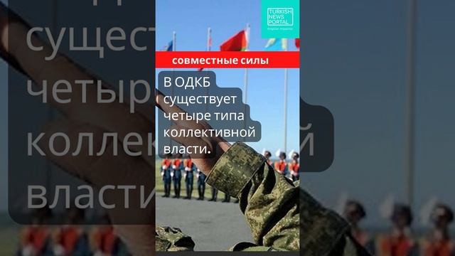 Что такое Организация Договора о коллективной безопасности?