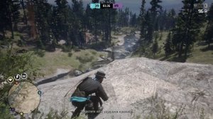 Универсальный билд в rdr 2 online для ПВП и ПВЕ