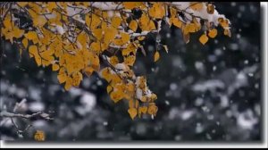 Шёл по улицам Бог