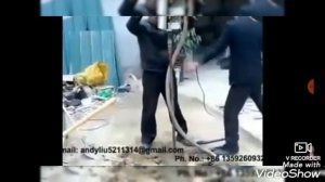 Абиссинка по китайски.