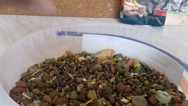 Корм для шиншилл/як зробити  хороший корм шиншилам