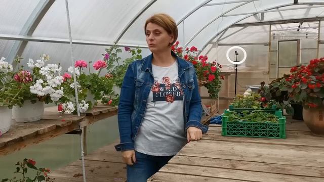 Мои хорошие новости