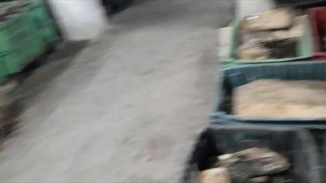 ПАН133 Биогумус технология производство вермизакваска. Промышленное разведение червей