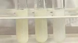 Аниондарға сапалық реакция