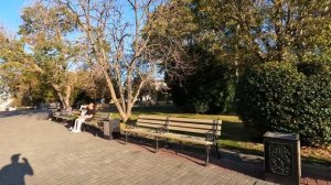 СЕВАСТОПОЛЬ. ЦЕНТР ГОРОДА. ПРИМОРСКИЙ БУЛЬВАР. НАБЕРЕЖНАЯ. ОКТЯБРЬ 2023 #севастополь #крым #пешком