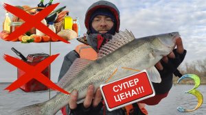 Да ладно?! Мы отбили рыбалку! Неприлично много судака. Встреча с Stalingrad Fishers.