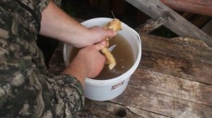 ХОЧЕШЬ ЗИМОЙ МНОГО ЯИЦ ? ЗАГОТОВЬ ЭТО ДЛЯ КУР !