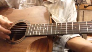 Test guitar G danube