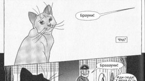 Коты-Воители: Звездоцап и Саша - Побег из леса. Часть 6