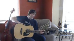 Ibanez  PF1512 12 String Guitar Review \\ Stefan's Bass Blog