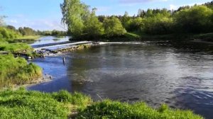 Водный поход 21 мая 2021. Река Осуга. Стапель рядом с деревней Горощино.