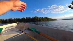 ‼ За СУДАКАМИ на ВАЗУЗУ ! ПОПАЛИСЬ РЫБНАДЗОРУ на ЛОДКЕ - ШТРАФАНУЛИ ⁉