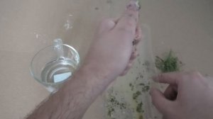 Самая Уловистая Насадка на Карася Карпа Леща Плотву. Супер Рыболовная насадка своими руками