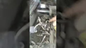 Renault kangoo -замена рулевой рейки ,ремонт ходовой работы по электрике авто.