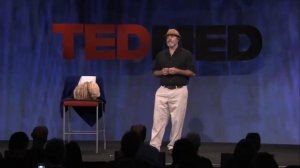 Гриб лечащий рак – Траметес разноцветный (Turkey Tail)