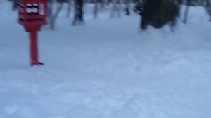 Зима 2016 г Красногорск