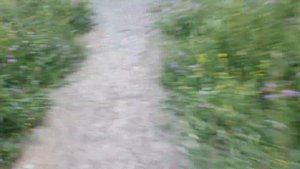 Поездка в г. Горно-Алтайск ?Восхождение на гору Туу Кайа (Тугая)