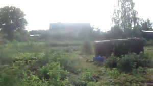 Мой огород 2018 по методу Митлайдера