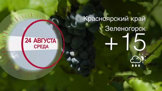 Погода в Красноярском крае на 24.08.2022 смотреть онлайн