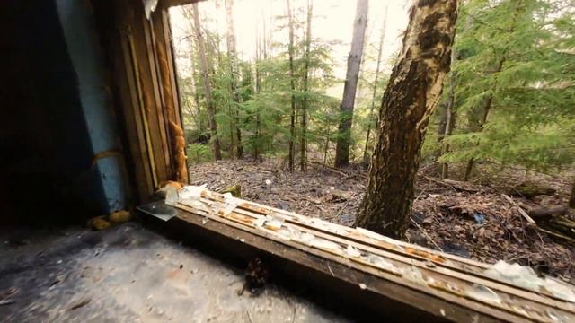 DJI Avata + DJI Mavic 3. Близ деревни Малые Петрищи. Заброшенная пожарная часть. смотреть онлайн