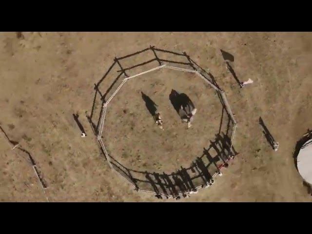 В Татарстане пройдет фестиваль «Татар аты» #татары #татарстан #казань