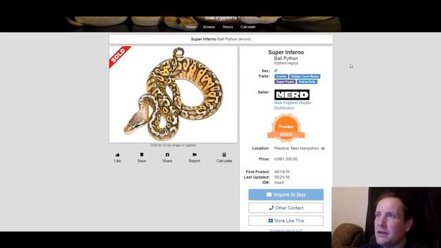 Granite Ball Python Morph Combos | Jack's Reptiles