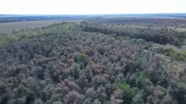 Ставрополь - с. Кугульта. ГОРА ПАНИНА. смотреть онлайн