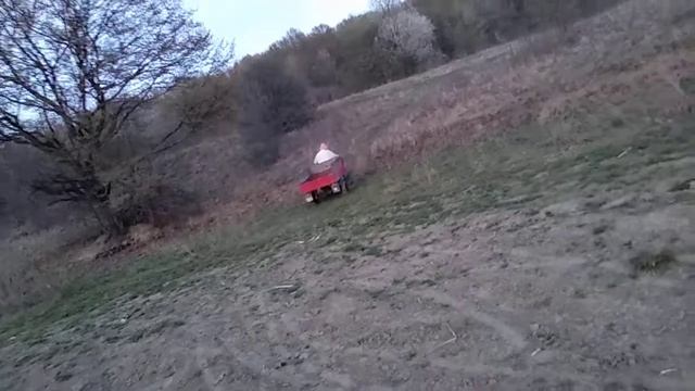 Муравей старается смотреть онлайн